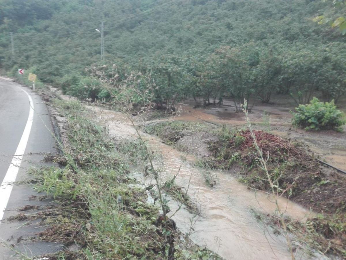 Ordu’da sağanak nedeniyle dere taştı, yol geçici olarak ulaşıma kapandı