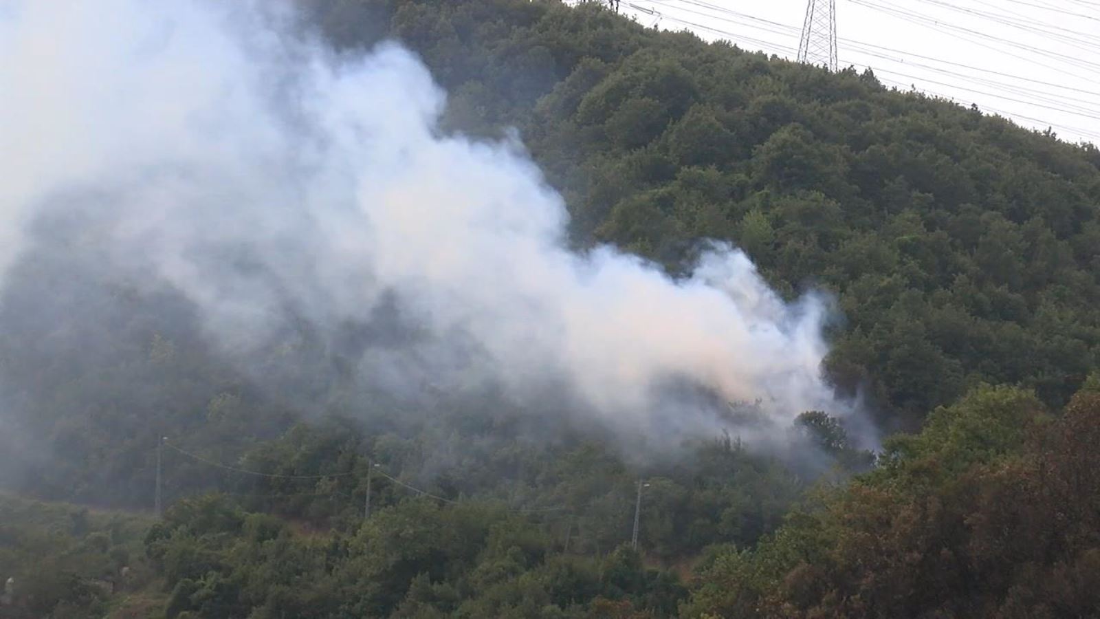 Son dakika: İstanbul'da orman yangını! Yine aynı bölgede çıktı