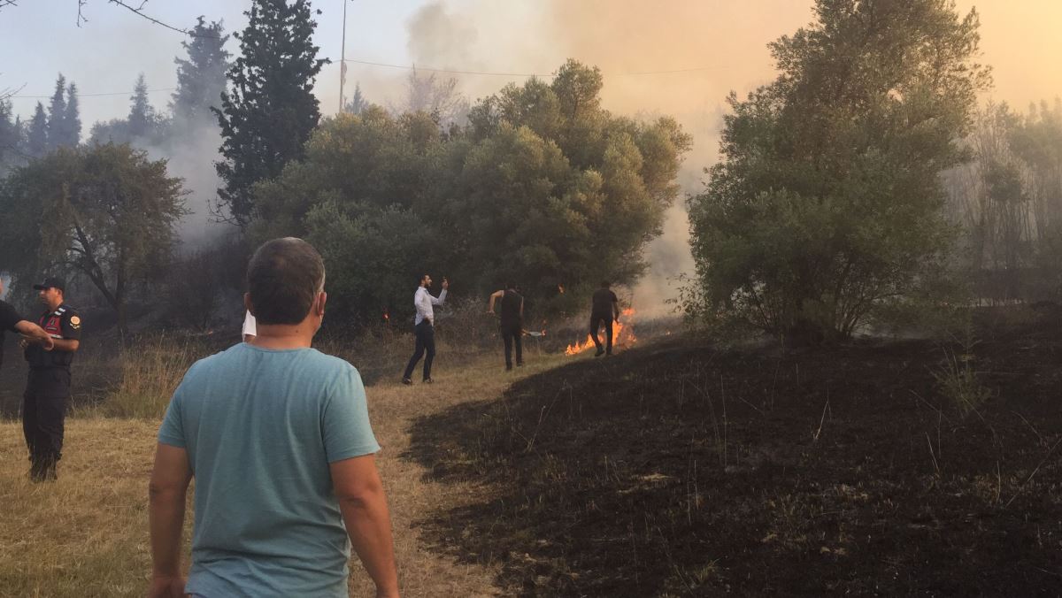 Yere attığı sigara izmariti otları yaktı, tutuklandı