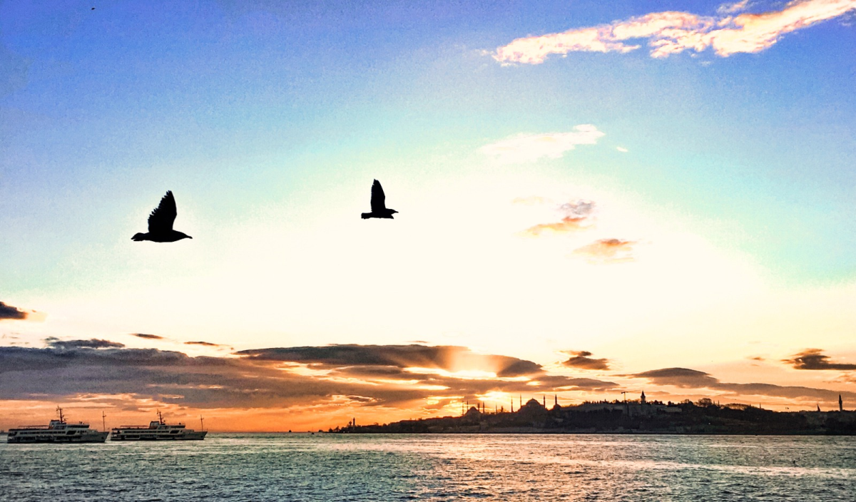 Güvenliklerin gözünden 100 karede İstanbul