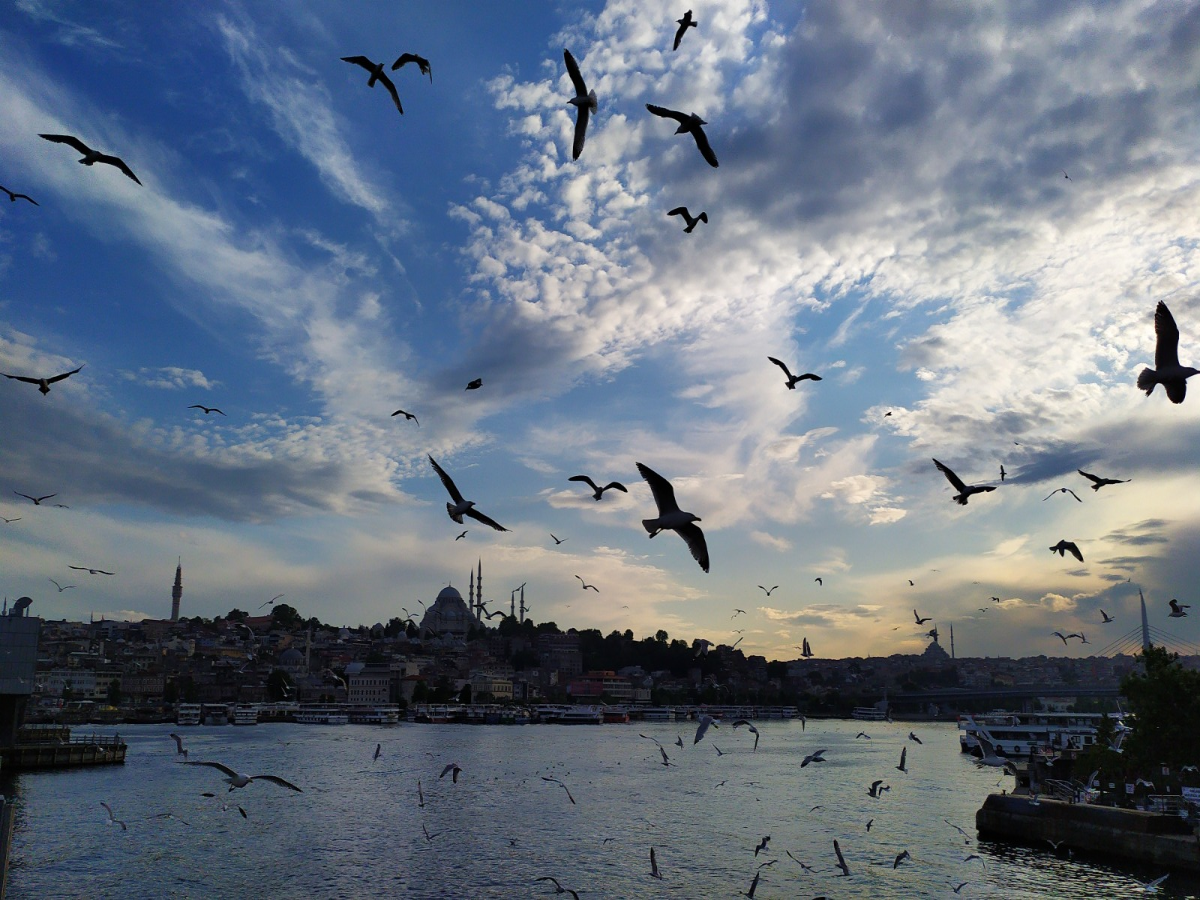 Güvenliklerin gözünden 100 karede İstanbul