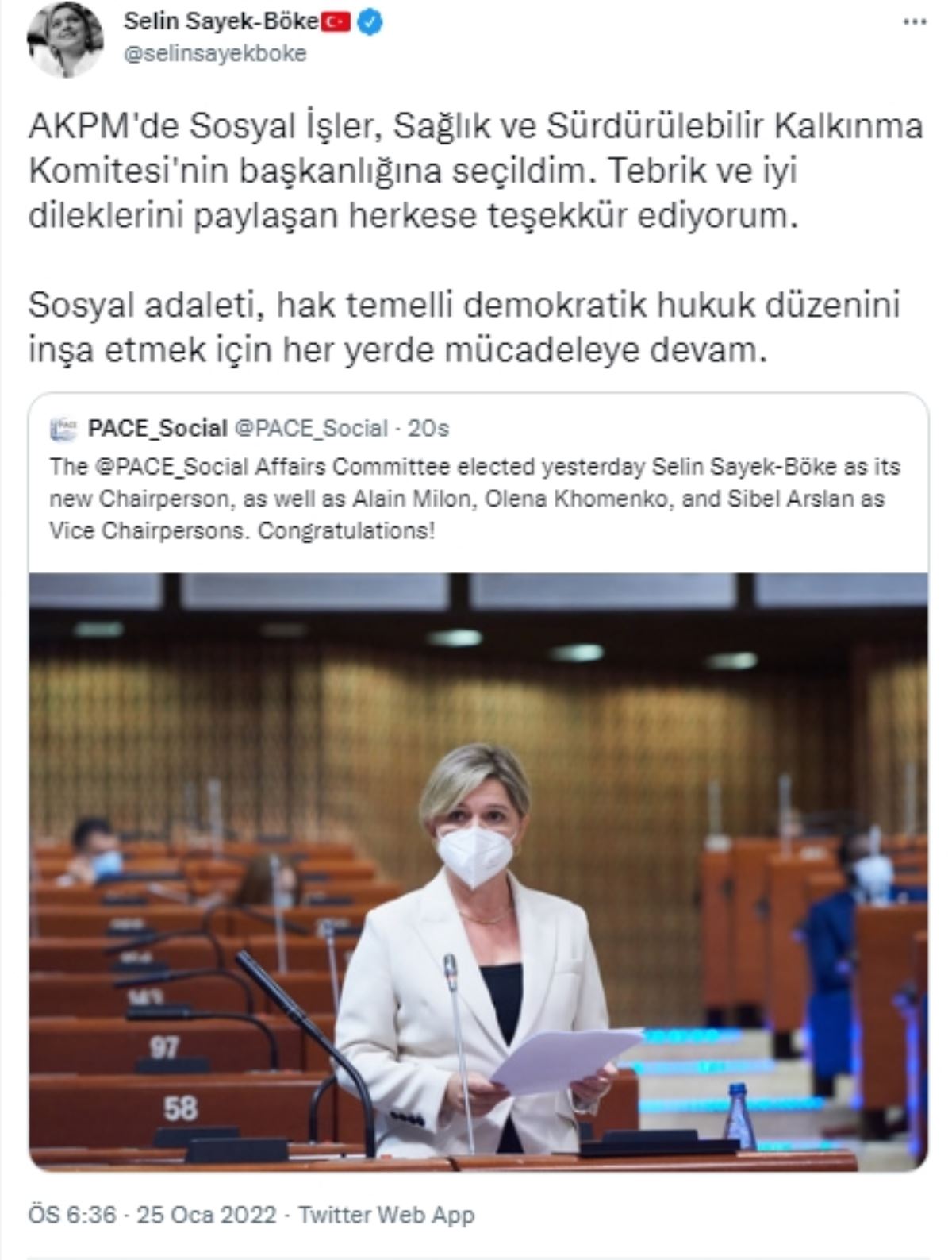 CHP’li Selin Sayek Böke, AKPM Komite Başkanı oldu