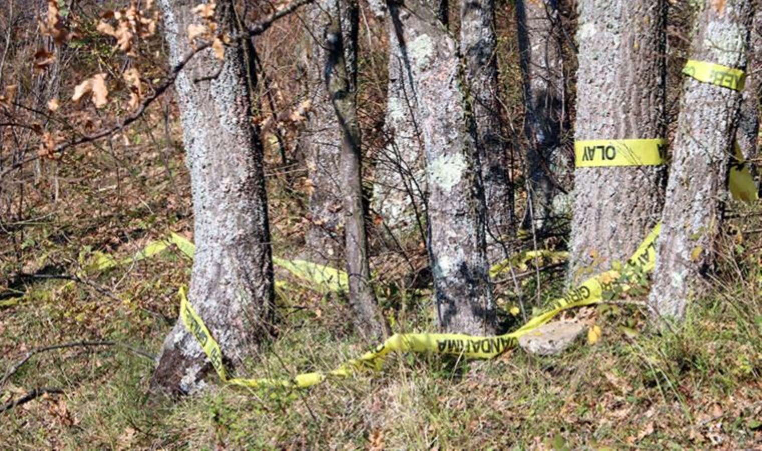 Zonguldak Taki Kesik Ba Cinayetinde G Zalt Son Dakika T Rkiye