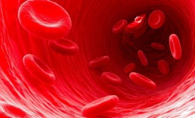 Bilim insanları hemoglobin ile çalışabilen pil üretti