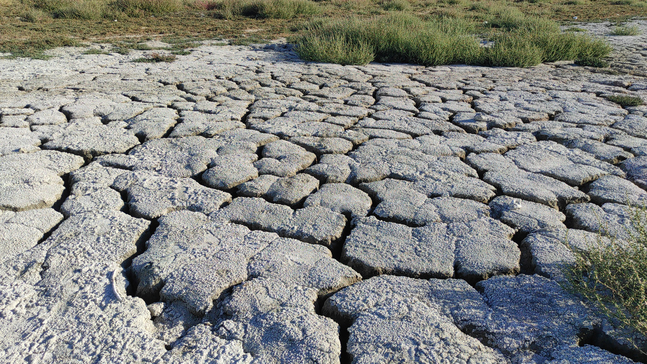 Burdur Gölü'nde korkutan görüntü: İskele havada kaldı