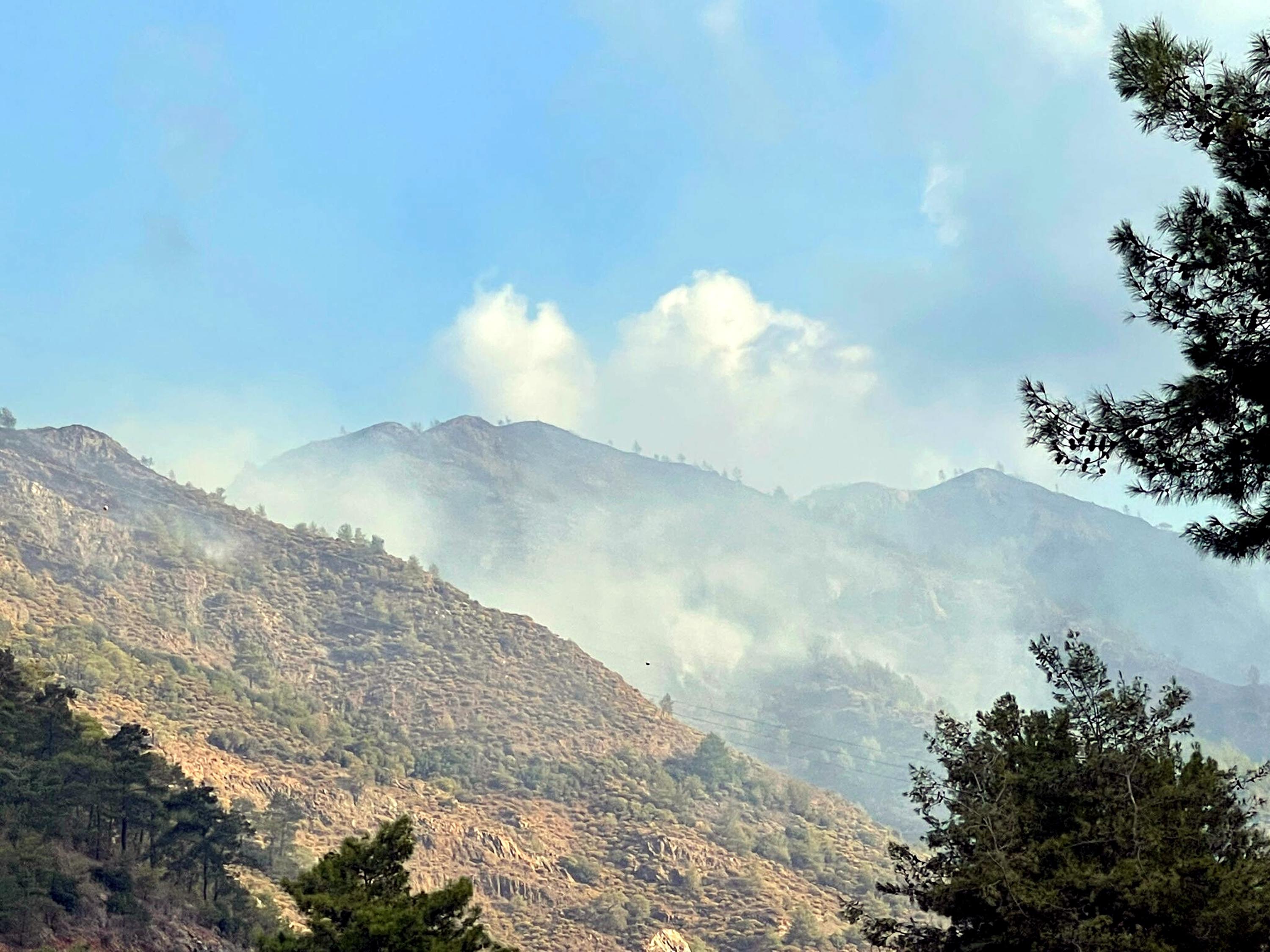 Muğla'da orman yangını çıktı!