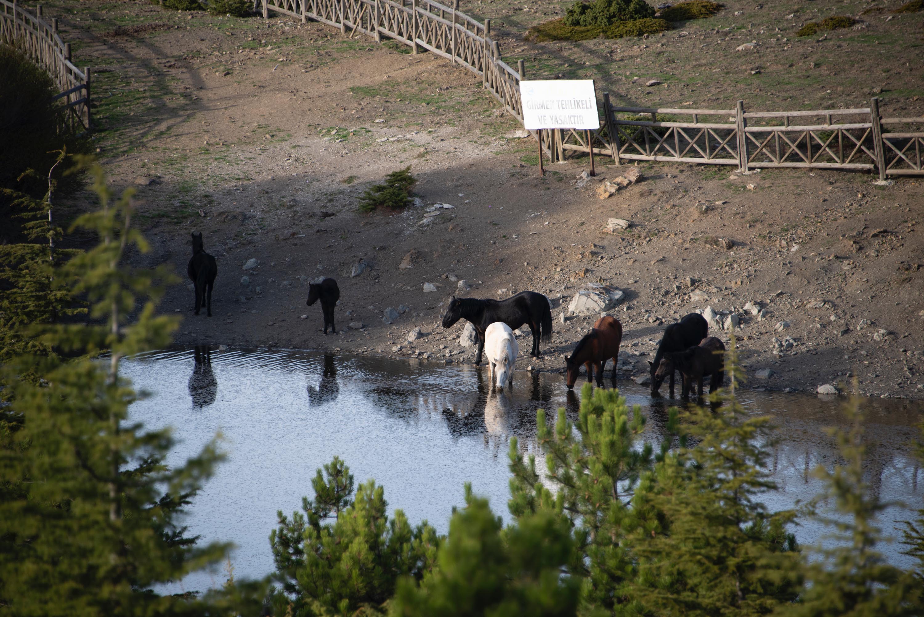 Spil Dağı'ndan sonbahar manzaraları