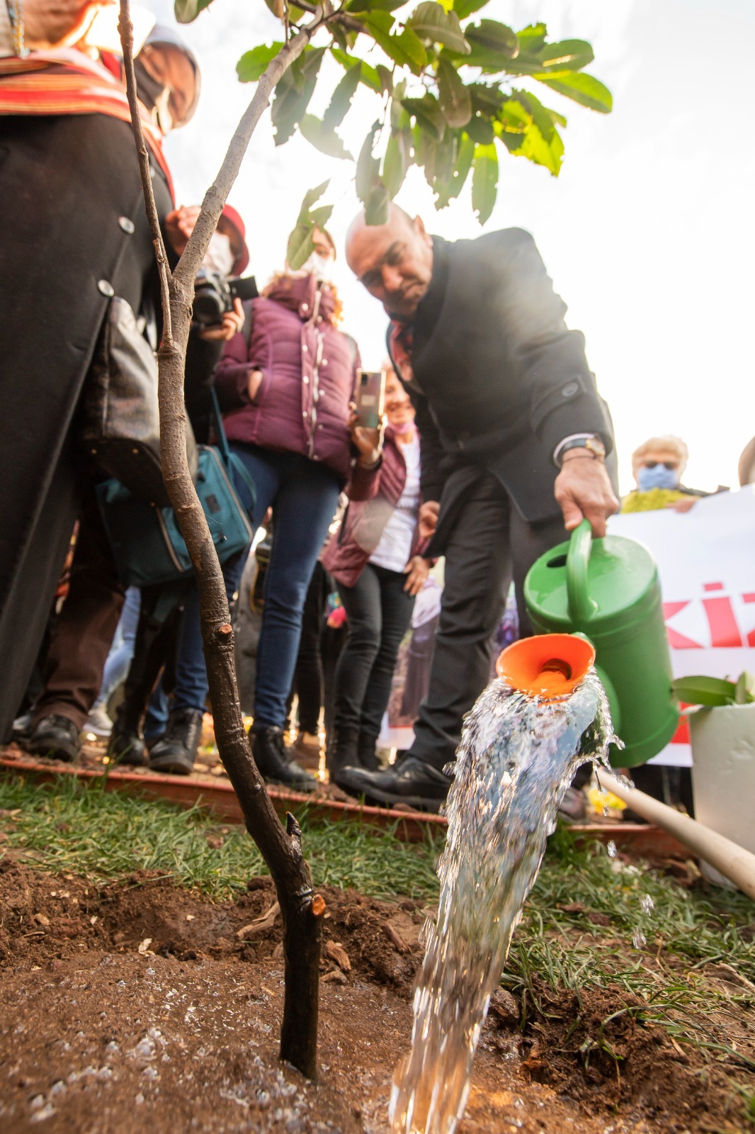 İkizdere’den kurtarılan fidanlar İzmir’de hayat buldu