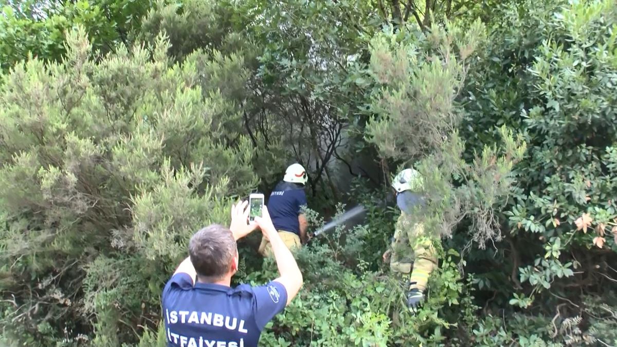 Sarıyer'de yangın paniği