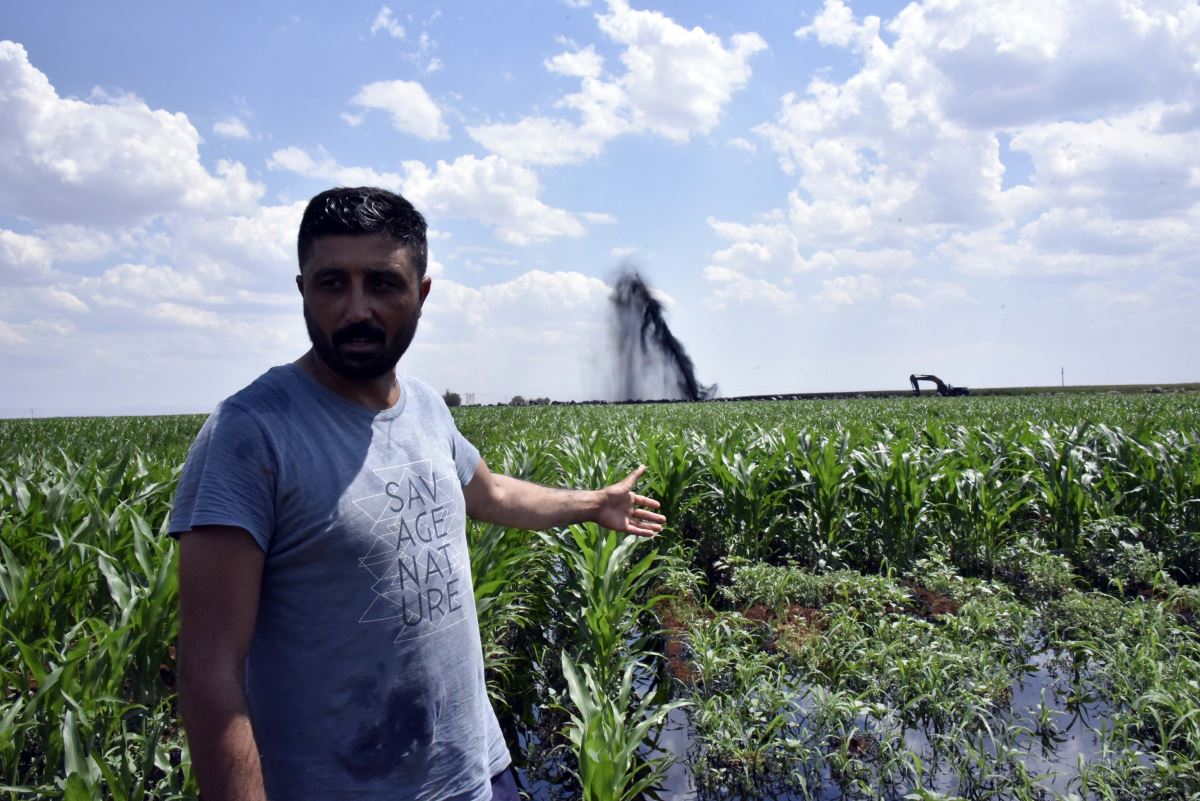 Şanlıurfa'da boru hattı delindi; ham petrol metrelerce fışkırdı