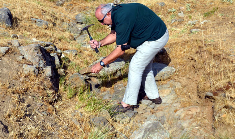 Muş'ta bulundu: Tam 35 milyon yıllık