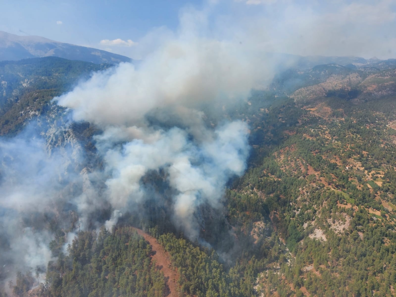 Son dakika... Muğla Köyceğiz'de orman yangını başladı