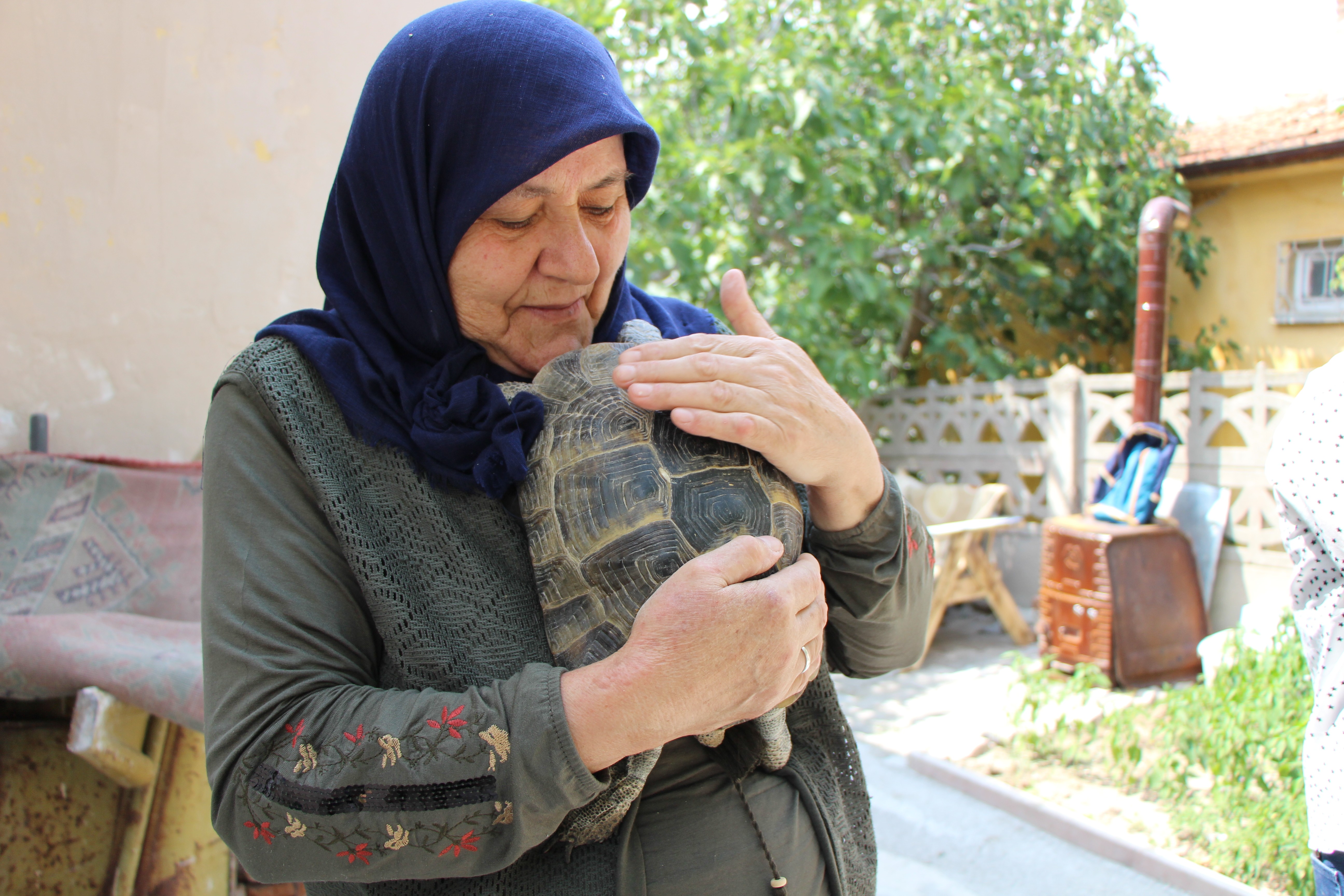 'Kaplumbağa terbiyecisi' Zekiye teyze evinde 3 kaplumbağaya bakıyor: 'Bana yükleri yok'