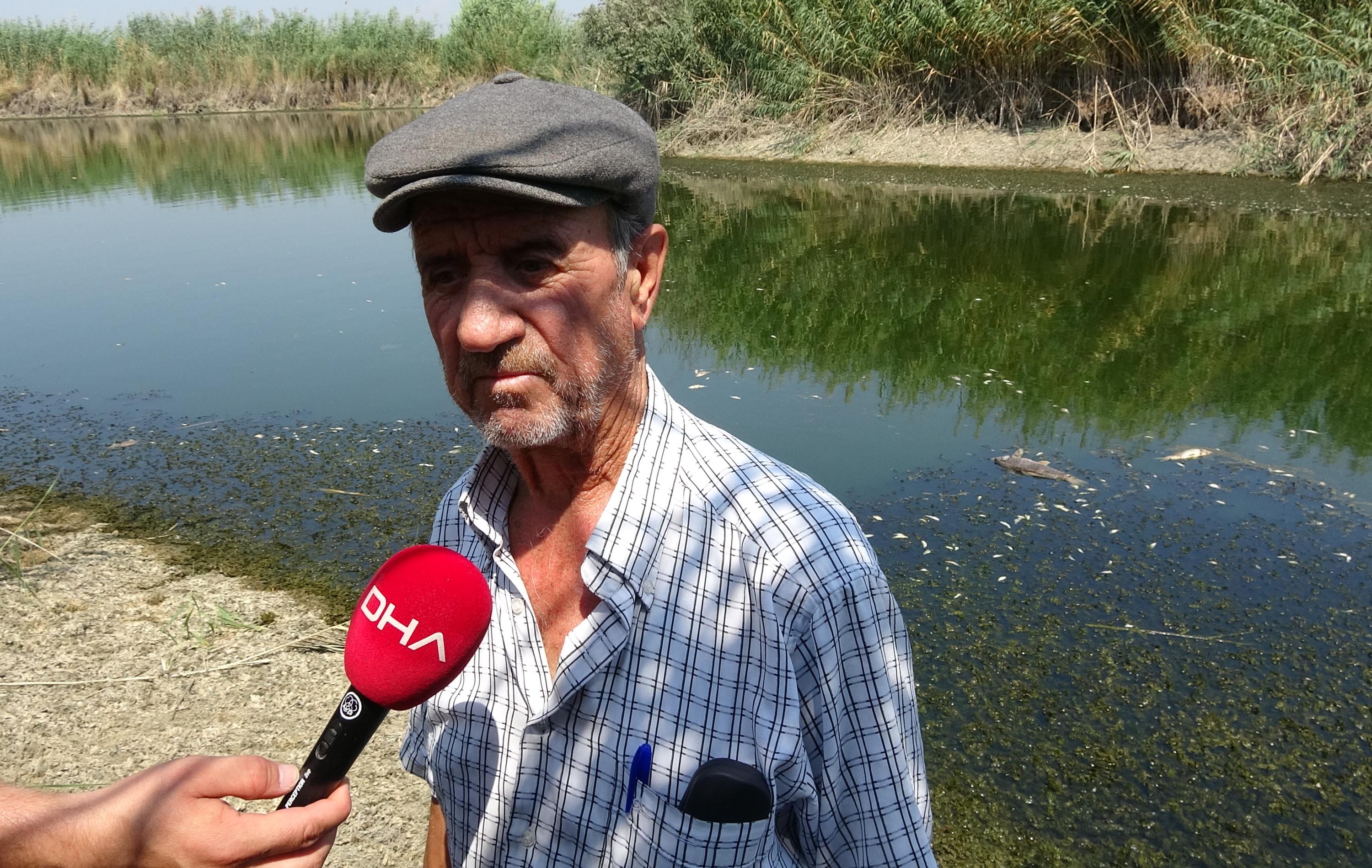 Büyük Menderes eski yatağında kuraklık canlıları da vurdu, binlerce balık öldü!