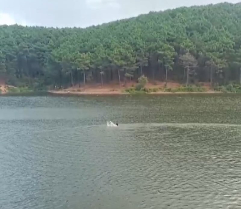 Sancaktepe'de gölette kaybolan kişinin son görüntüleri ortaya çıktı