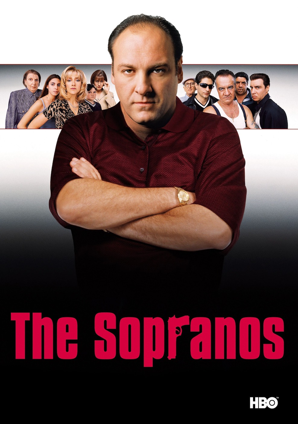 <p><strong>The Sopranos   10/9.2</strong></p><p>Dizi, büyük bir İtalyan-Amerikan mafya ailesi olan Soprano ailesi ve ihanete tahammülü olmayan mafya lideri Tony Soprano’nun hikayesini anlatıyor.</p>