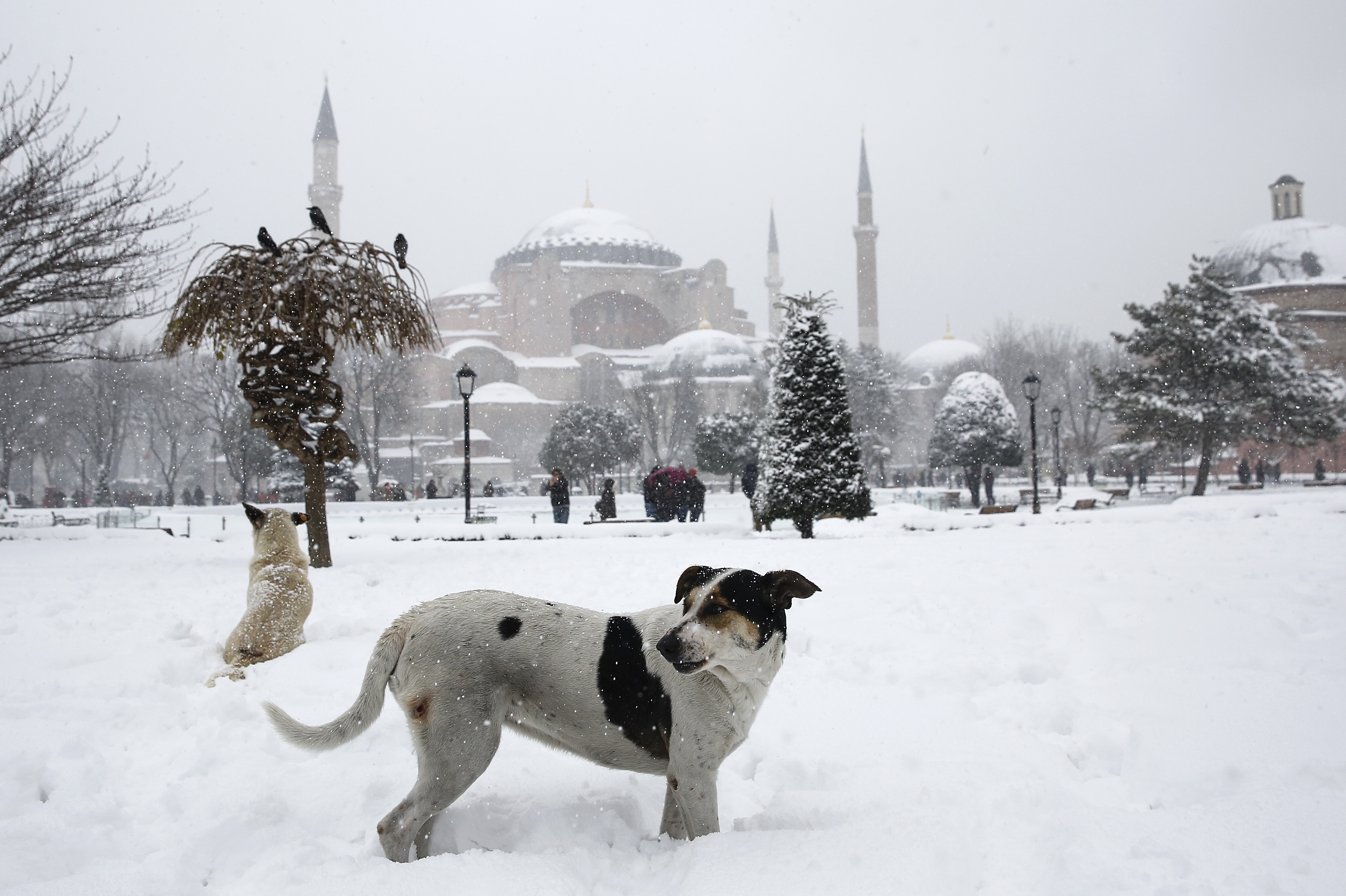 İstanbul'da kar ne zaman başlayacak? Açıklamalar art arda geliyor: '15-20 santimi bulabilir'