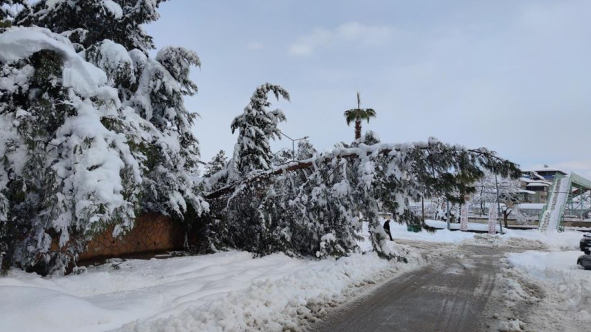 Gaziantep'te kar yağışının bilançosu ağır oldu