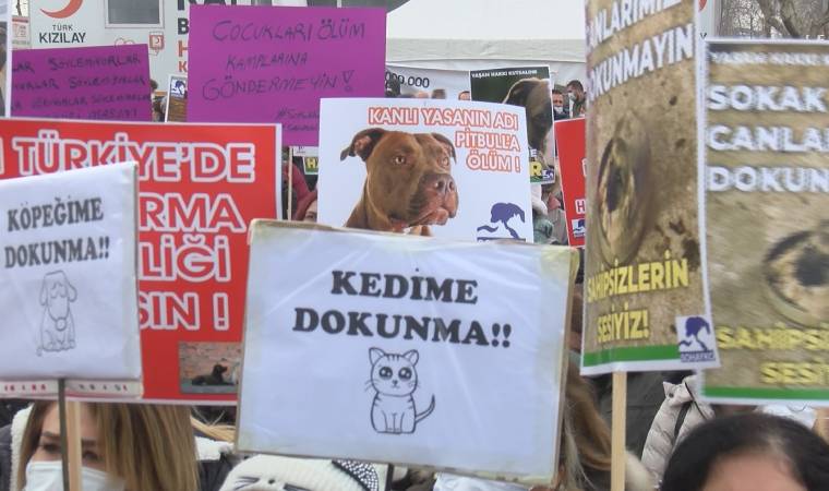 Sokak hayvanları için Kadıköy Rıhtım'da eylem