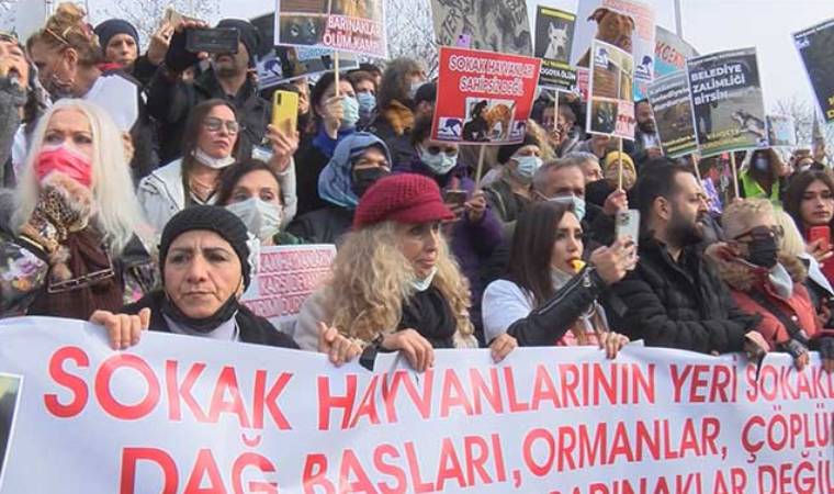 Sokak hayvanları için Kadıköy Rıhtım'da eylem