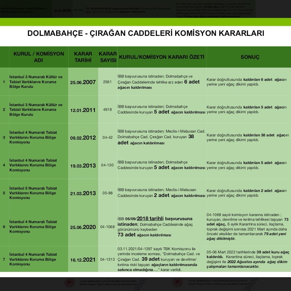 Dolmabahçe’deki asırlık çınarların neden kesildiği merak konusu