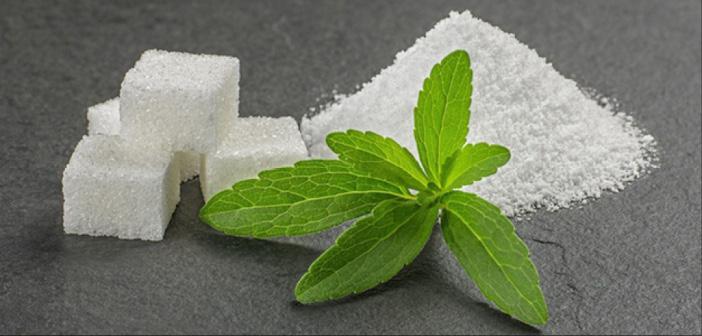 Stevia (şeker otu) nedir, faydaları neler, zararları var mı?