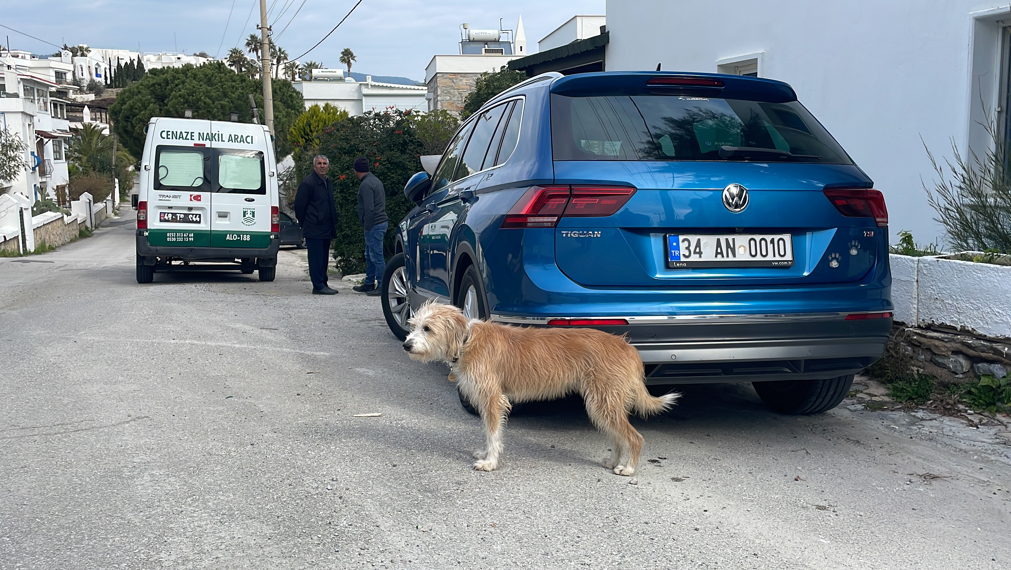 Akrep Nalan'ın cenazesi evinden alındı: Sanatçının köpeği Lucy, olan biteni uzaktan izledi