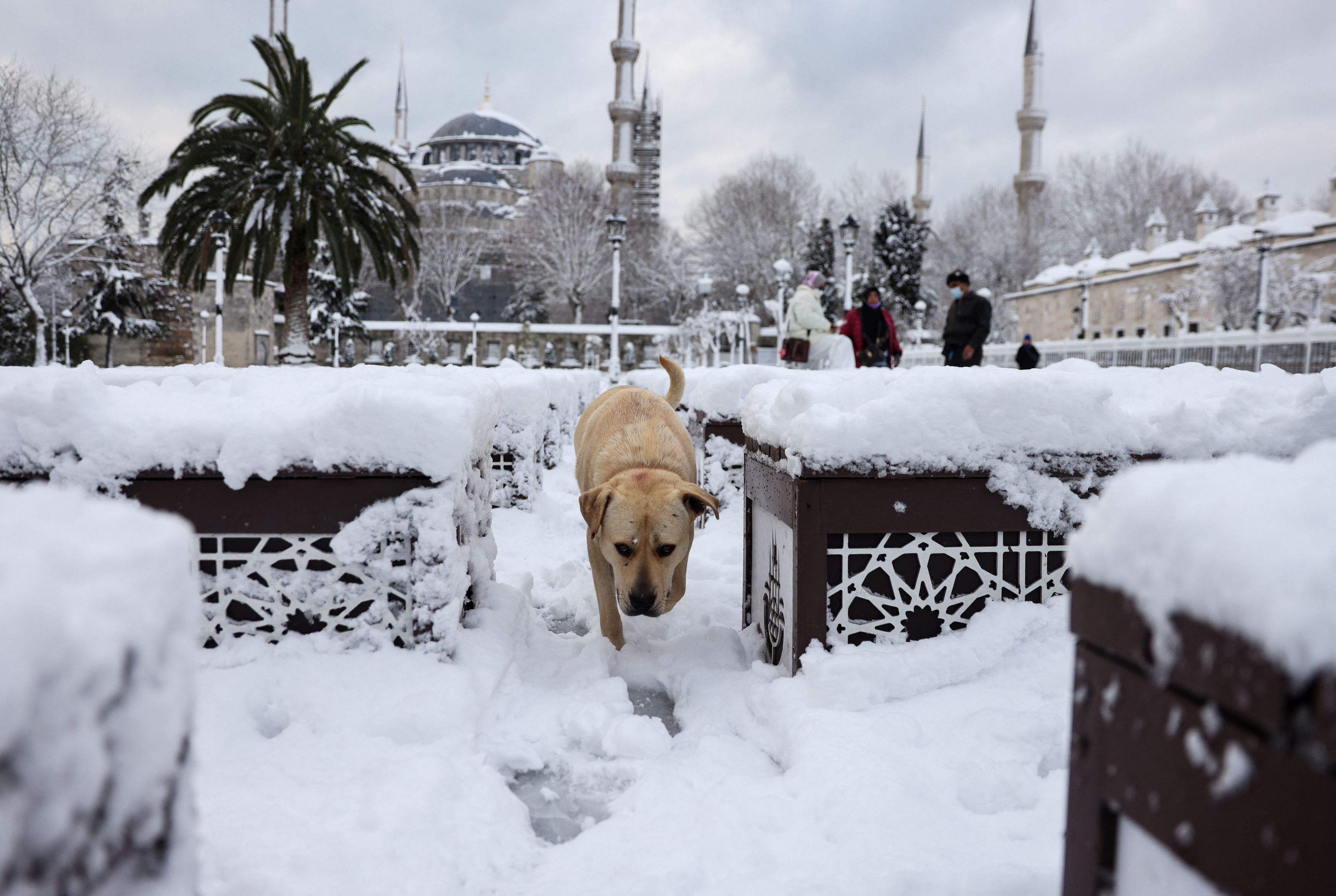 İstanbul kar yağışını bekliyor: Uyarılar art arda... 20 santimetreyi bulacak