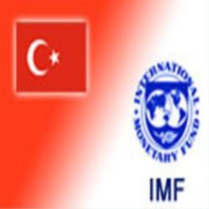 IMF'nin tahminlerine göre, Türkiye