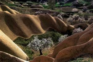 Kapadokya Fotoğraf yarışması sonuçlandı