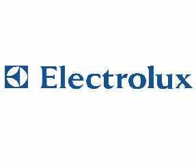 Macaristan Electrolux 250 kişiyi işten çıkarıyor