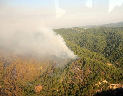 Burdur'da orman yangını