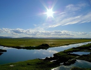 Manyas Ovası ihalesi