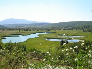 'Su piyasalaştırmanın tehdidi altında'