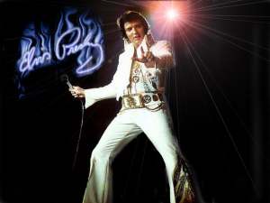 Elvis'in saçı satıldı