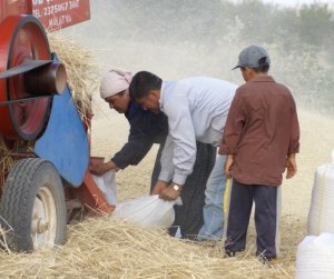 31 Aralık son gün