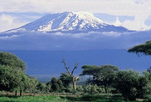 Kilimanjaro'nun karları hızla eriyor