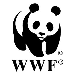 WWF-Türkiye'nin son ayağı Bursa'da yapıldı