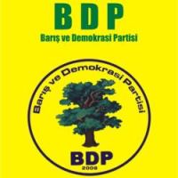 Kandil'den inenler, BDP açılışında