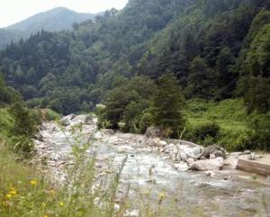 İkizdere'de HES yürütmesi durduruldu