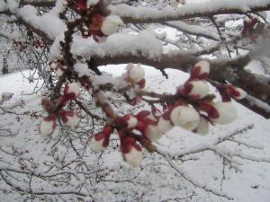 Meteorolojiden don uyarısı