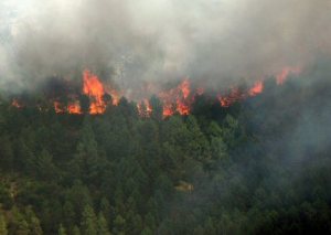 Göcek'te makilik alanda yangın