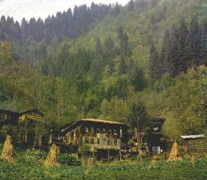 Doğu Karadeniz'in 80 yıllık çilesi