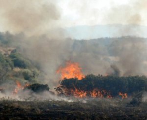 İzmir'de korku dolu saatler yaşandı