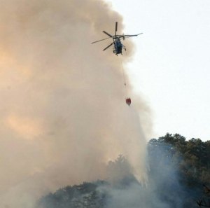 Antalya'nın ciğerleri yanıyor