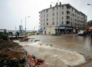 Mimarlar Karadeniz Sahil Yolu'nu gösterdi