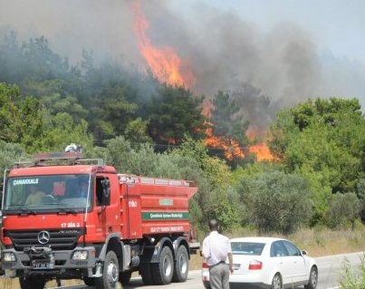 Gelibolu ve Balıkesir'de orman yangını