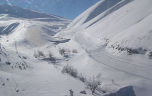 Ardahan ve Artvin beyaza büründü