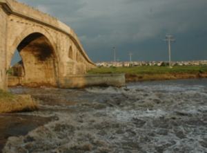 Ergene Nehri'ndeki kirlilik için komisyon