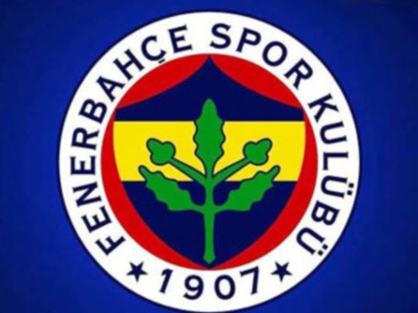 UEFA'dan Fenerbahçe'ye ceza (27.01.2010)